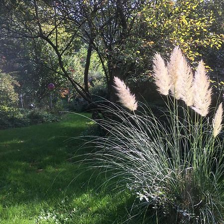 Waldzauber Διαμέρισμα Waldkirchen Εξωτερικό φωτογραφία