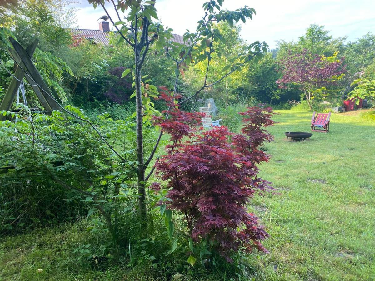 Waldzauber Διαμέρισμα Waldkirchen Εξωτερικό φωτογραφία