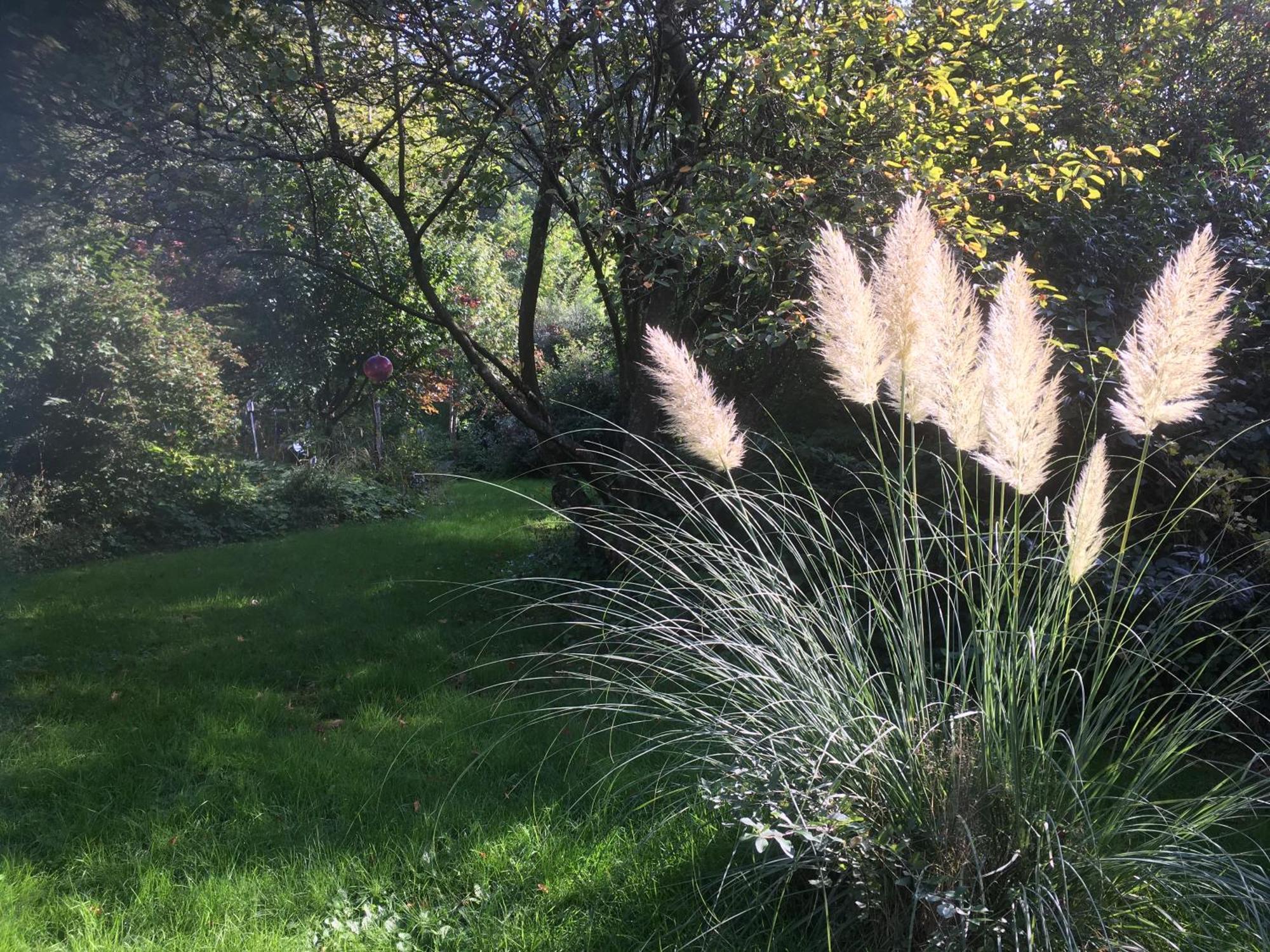 Waldzauber Διαμέρισμα Waldkirchen Εξωτερικό φωτογραφία